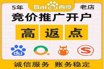 百度竞价赚钱攻略：实战案例分享